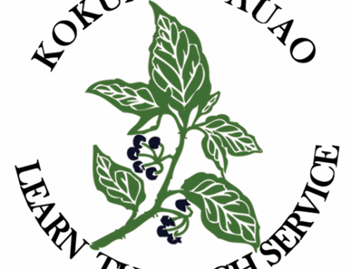 Native Hawaiian Health Scholarship Program – How It Works